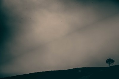 » #6/6 « / Blog-Beitrag von <a href="https://strkng.com/de/fotograf/kjtaylor-fotografik/">Fotograf KjTaylor_Fotografik</a> / 02.01.2023 12:14