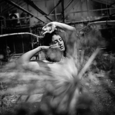 » #2/9 « / Im Glashaus / Blog post by <a href="https://strkng.com/en/photographer/lechiam/">Photographer lechiam</a> / 2019-06-06 11:45