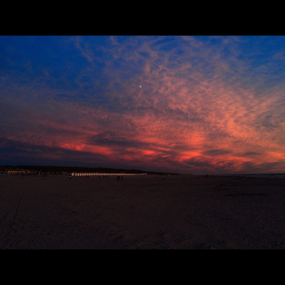 Texel 3 / Landscapes