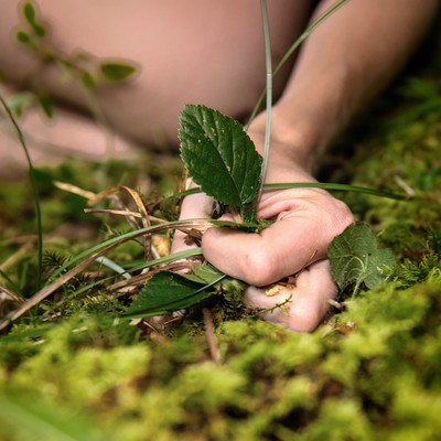 » #2/7 « / Waldeslust / Blog-Beitrag von <a href="https://strkng.com/de/fotograf/lechiam/">Fotograf lechiam</a> / 04.05.2020 17:01 / Natur