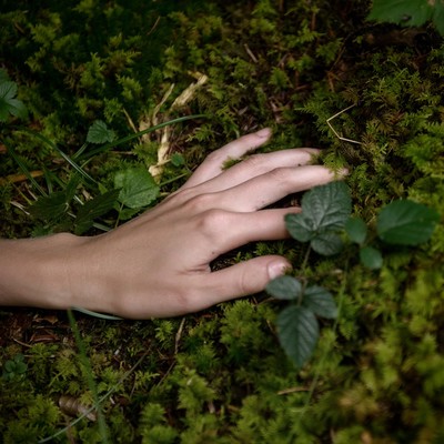 » #4/7 « / Waldeslust / Blog post by <a href="https://strkng.com/en/photographer/lechiam/">Photographer lechiam</a> / 2020-05-04 17:01 / Natur