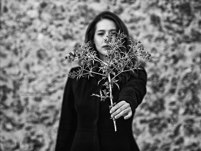 » #2/6 « / thistle/mirror / Blog post by <a href="https://willischwanke.strkng.com/en/">Photographer Willi Schwanke</a> / 2018-12-02 13:50 / Konzeptionell