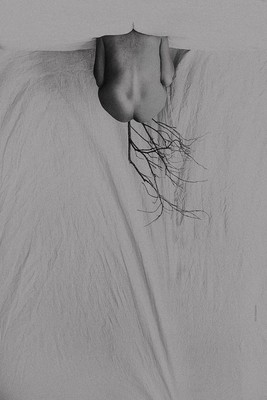 » #3/3 « / triflow66 / Blog-Beitrag von <a href="https://willischwanke.strkng.com/de/">Fotograf Willi Schwanke</a> / 12.03.2019 23:17 / Nude