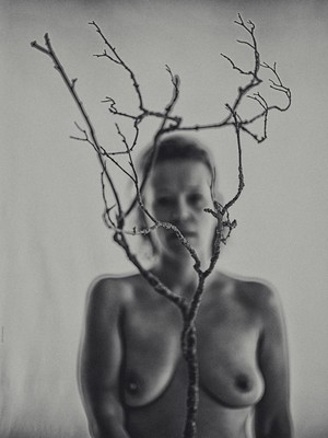 » #2/4 « / branch&amp;body / Blog-Beitrag von <a href="https://willischwanke.strkng.com/de/">Fotograf Willi Schwanke</a> / 18.11.2020 23:38 / Nude