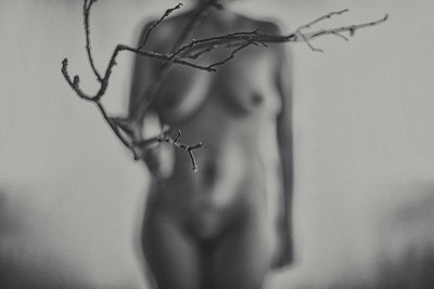 » #3/4 « / branch&amp;body / Blog post by <a href="https://willischwanke.strkng.com/en/">Photographer Willi Schwanke</a> / 2020-11-18 23:38 / Performance