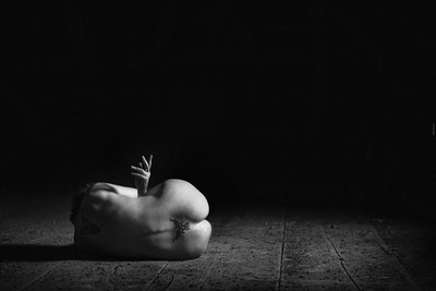 » #2/2 « / hand I+II / Blog post by <a href="https://willischwanke.strkng.com/en/">Photographer Willi Schwanke</a> / 2023-06-07 20:57 / Nude