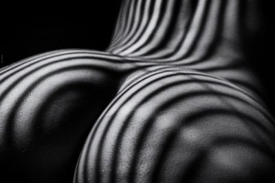 » #2/2 « / bodyparts I+II / Blog-Beitrag von <a href="https://willischwanke.strkng.com/de/">Fotograf Willi Schwanke</a> / 17.08.2023 22:08 / Nude