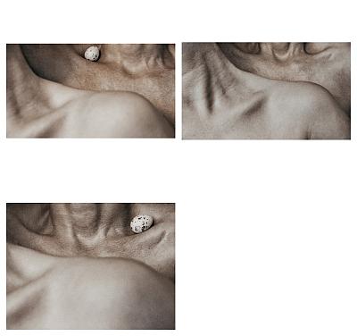 bodyparts -leftside-without-rightside - Blog post by Photographer Willi Schwanke / 2024-07-26 11:58