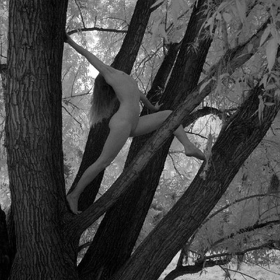 » #9/9 « / beyond light / Blog post by <a href="https://strkng.com/en/photographer/phovis/">Photographer PHOVIS</a> / 2019-10-17 19:03 / Nude