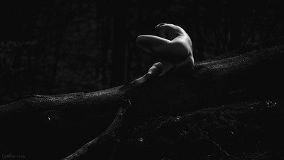 » #1/6 « / Baumwesen / Blog post by <a href="https://dirkbee.strkng.com/en/">Photographer DirkBee</a> / 2019-05-11 14:00 / Nude