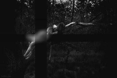 » #5/5 « / a tree / Blog-Beitrag von <a href="https://dirkbee.strkng.com/de/">Fotograf DirkBee</a> / 12.07.2019 22:38 / Nude