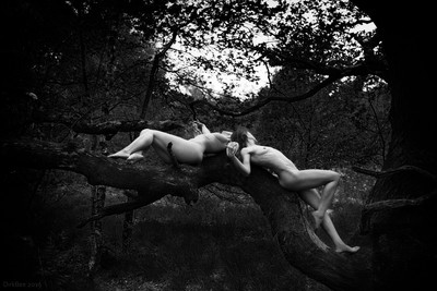 » #1/5 « / a tree / Blog post by <a href="https://dirkbee.strkng.com/en/">Photographer DirkBee</a> / 2019-07-12 22:38 / Nude