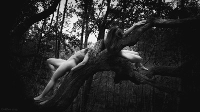 » #3/5 « / a tree / Blog post by <a href="https://dirkbee.strkng.com/en/">Photographer DirkBee</a> / 2019-07-12 22:38 / Nude