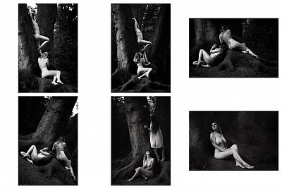 2 women and an old tree - Blog post by Photographer DirkBee / 2020-08-11 11:23