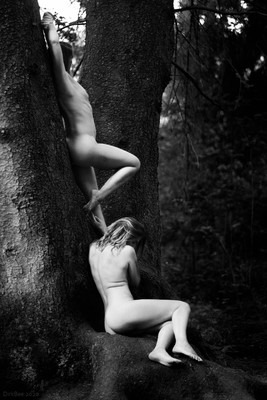 I / Nude / nude,nudeart,tree