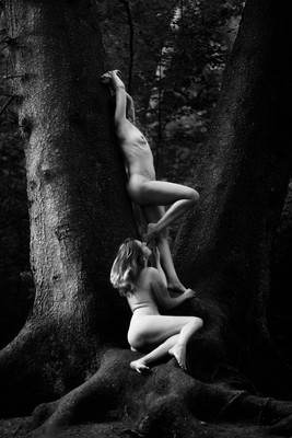 II / Nude / nudeart,tree,blackandwhite