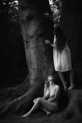 V / Nude / woman,nudeart,tree,blackandwhite