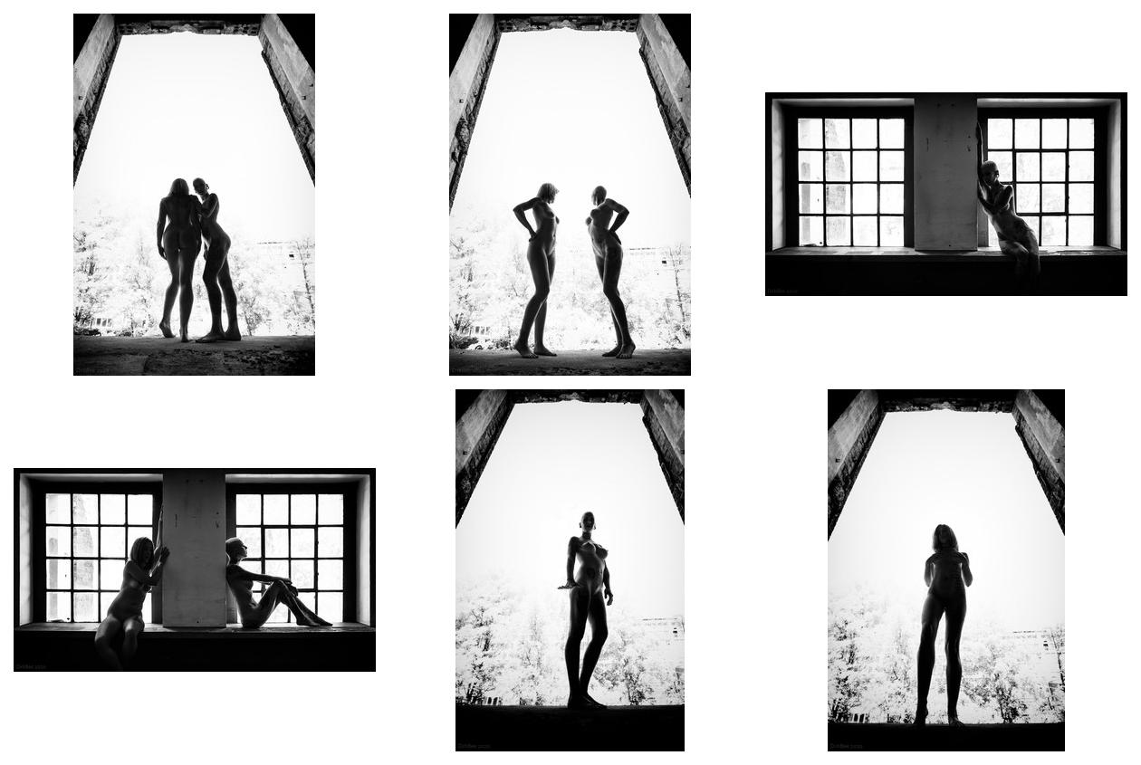 silhouettes - Blog-Beitrag von Fotograf DirkBee / 22.08.2020 17:33