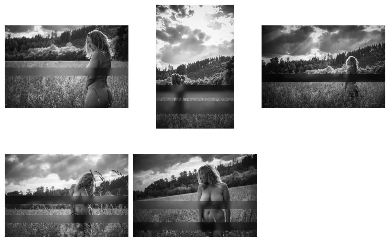 letztens im Mai - Blog-Beitrag von Fotograf DirkBee / 19.06.2025 21:17
