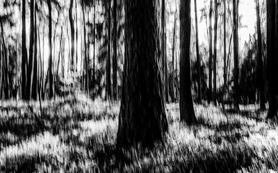 » #7/7 « / Timeless atmosphere / Blog-Beitrag von <a href="https://strkng.com/de/fotograf/marian+hummel/">Fotograf Marian Hummel</a> / 16.02.2019 12:00 / Abstrakt