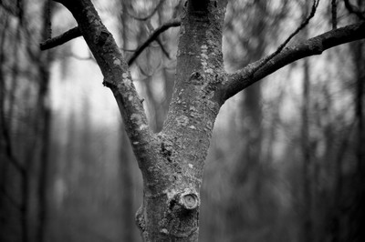 » #1/3 « / Frühling / Blog-Beitrag von <a href="https://strkng.com/de/fotograf/filthy+wizard/">Fotograf Filthy Wizard</a> / 27.03.2019 09:57 / Natur