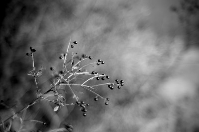 » #3/3 « / Frühling / Blog-Beitrag von <a href="https://strkng.com/de/fotograf/filthy+wizard/">Fotograf Filthy Wizard</a> / 27.03.2019 09:57 / Natur