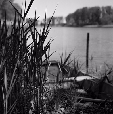 » #1/9 « / Der silberne See / Blog post by <a href="https://strkng.com/en/photographer/filthy+wizard/">Photographer Filthy Wizard</a> / 2019-05-17 18:02 / Natur