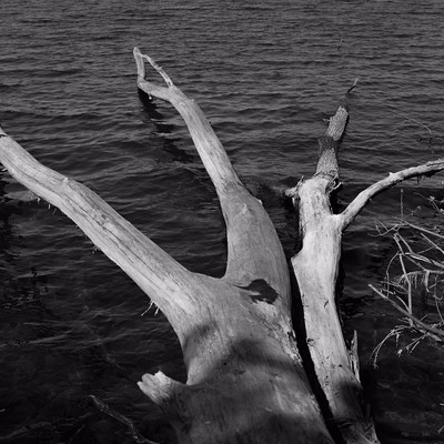 » #8/9 « / Der silberne See / Blog post by <a href="https://strkng.com/en/photographer/filthy+wizard/">Photographer Filthy Wizard</a> / 2019-05-17 18:02 / Natur