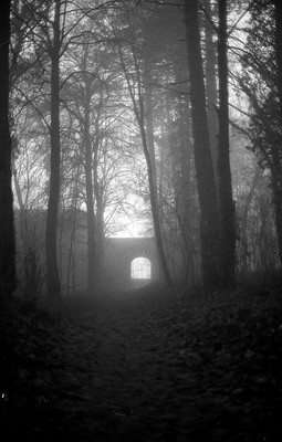 » #1/9 « / Nebel / Blog post by <a href="https://strkng.com/en/photographer/filthy+wizard/">Photographer Filthy Wizard</a> / 2020-02-15 08:52 / Schwarz-weiss