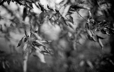 » #3/9 « / Nebel / Blog-Beitrag von <a href="https://strkng.com/de/fotograf/filthy+wizard/">Fotograf Filthy Wizard</a> / 15.02.2020 08:52 / Schwarz-weiss