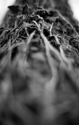 » #4/9 « / Nebel / Blog-Beitrag von <a href="https://strkng.com/de/fotograf/filthy+wizard/">Fotograf Filthy Wizard</a> / 15.02.2020 08:52 / Schwarz-weiss