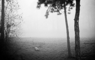 » #5/9 « / Nebel / Blog post by <a href="https://strkng.com/en/photographer/filthy+wizard/">Photographer Filthy Wizard</a> / 2020-02-15 08:52 / Schwarz-weiss