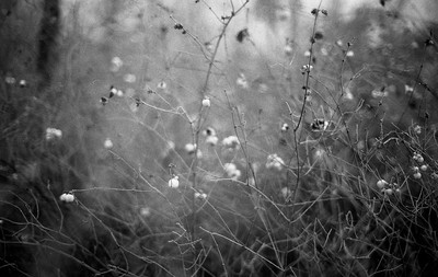 » #6/9 « / Nebel / Blog-Beitrag von <a href="https://strkng.com/de/fotograf/filthy+wizard/">Fotograf Filthy Wizard</a> / 15.02.2020 08:52 / Schwarz-weiss