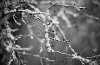 » #7/9 « / Nebel / Blog post by <a href="https://strkng.com/en/photographer/filthy+wizard/">Photographer Filthy Wizard</a> / 2020-02-15 08:52 / Schwarz-weiss