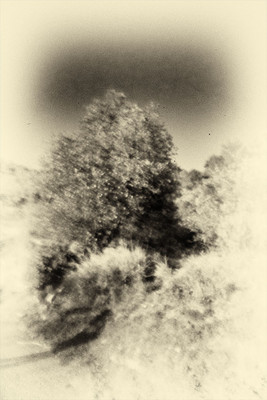 » #4/8 « / Nel bosco #1 / Blog-Beitrag von <a href="https://strkng.com/de/fotograf/gm+sacco/">Fotograf GM Sacco</a> / 17.02.2020 18:54 / Fine Art