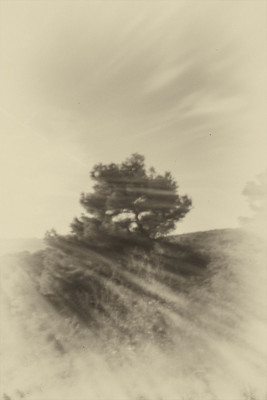 » #5/8 « / Nel bosco #1 / Blog-Beitrag von <a href="https://strkng.com/de/fotograf/gm+sacco/">Fotograf GM Sacco</a> / 17.02.2020 18:54 / Fine Art