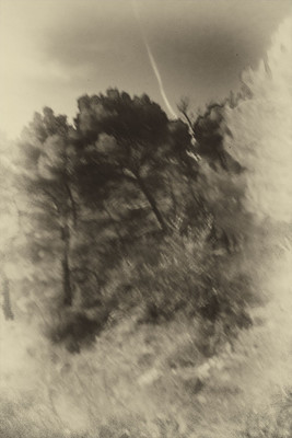 » #6/8 « / Nel bosco #1 / Blog-Beitrag von <a href="https://strkng.com/de/fotograf/gm+sacco/">Fotograf GM Sacco</a> / 17.02.2020 18:54 / Fine Art