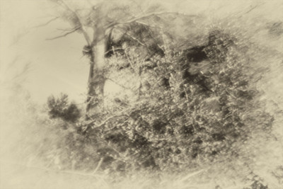 » #7/9 « / Nel bosco #2 / Blog post by <a href="https://strkng.com/en/photographer/gm+sacco/">Photographer GM Sacco</a> / 2020-02-19 11:35