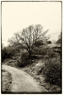 » #1/6 « / Di nuovo nel bosco II / Blog post by <a href="https://strkng.com/en/photographer/gm+sacco/">Photographer GM Sacco</a> / 2020-03-17 12:43