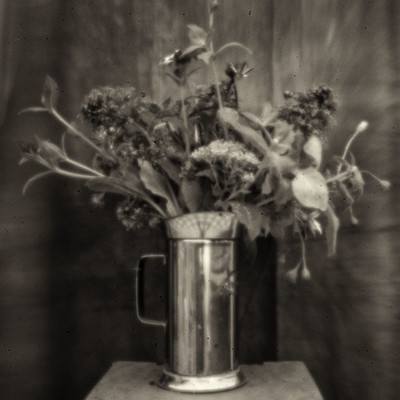 » #2/9 « / Flowers of confinement / Blog post by <a href="https://strkng.com/en/photographer/gm+sacco/">Photographer GM Sacco</a> / 2020-04-20 20:28