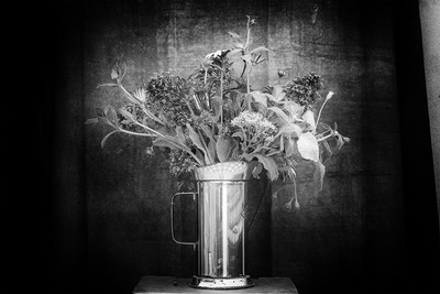 » #5/9 « / Flowers of confinement / Blog-Beitrag von <a href="https://strkng.com/de/fotograf/gm+sacco/">Fotograf GM Sacco</a> / 20.04.2020 20:28