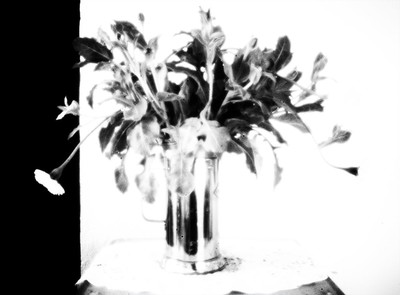 » #6/9 « / Flowers of confinement / Blog-Beitrag von <a href="https://strkng.com/de/fotograf/gm+sacco/">Fotograf GM Sacco</a> / 20.04.2020 20:28