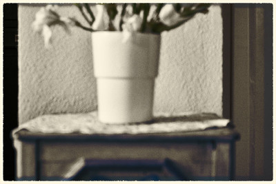 » #8/9 « / Flowers of confinement / Blog-Beitrag von <a href="https://strkng.com/de/fotograf/gm+sacco/">Fotograf GM Sacco</a> / 20.04.2020 20:28