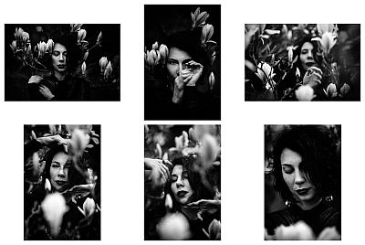 Magnolia - Blog post by Photographer Turamania Art / 2024-01-10 14:31