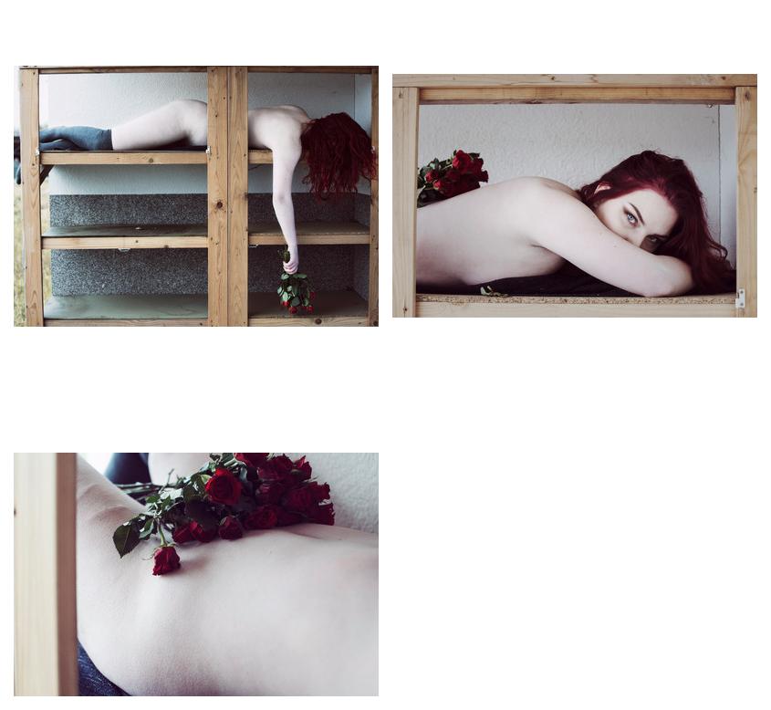 the tragedy of red roses - Blog-Beitrag von Fotografin photomie / 21.03.2019 12:59