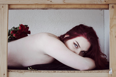 » #2/3 « / the tragedy of red roses / Blog post by <a href="https://strkng.com/en/photographer/photomie/">Photographer photomie</a> / 2019-03-21 12:59