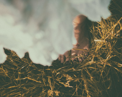 » #3/9 « / Wilder Mohn / Blog-Beitrag von <a href="https://strkng.com/de/fotograf/mario+von+oculario/">Fotograf Mario von Oculario</a> / 29.05.2019 12:54 / Nude