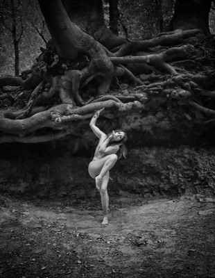 » #7/7 « / Waldgeboren / Blog post by <a href="https://strkng.com/en/model/mahamaya/">Model mahamaya</a> / 2020-10-04 22:19