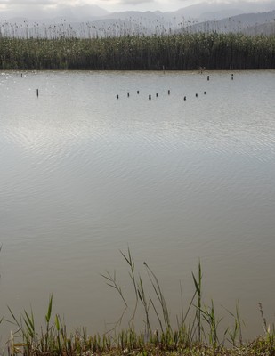 » #1/9 « / s&#039;Albufera, Platja de Muro, Mallorca / Blog post by <a href="https://strkng.com/en/photographer/joe+hogan/">Photographer Joe Hogan</a> / 2023-05-08 23:24