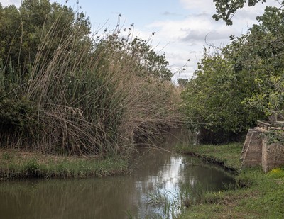 » #4/9 « / s&#039;Albufera, Platja de Muro, Mallorca / Blog-Beitrag von <a href="https://strkng.com/de/fotograf/joe+hogan/">Fotograf Joe Hogan</a> / 08.05.2023 23:24